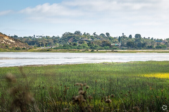 Take some time to enjoy the natural beauty of Batiquitos Lagoon State Marine Conservation area, located near South Beach.
