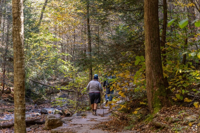 The trails at Ricketts Glenn State Park are a short drive from Jordan, Pennsylvania.