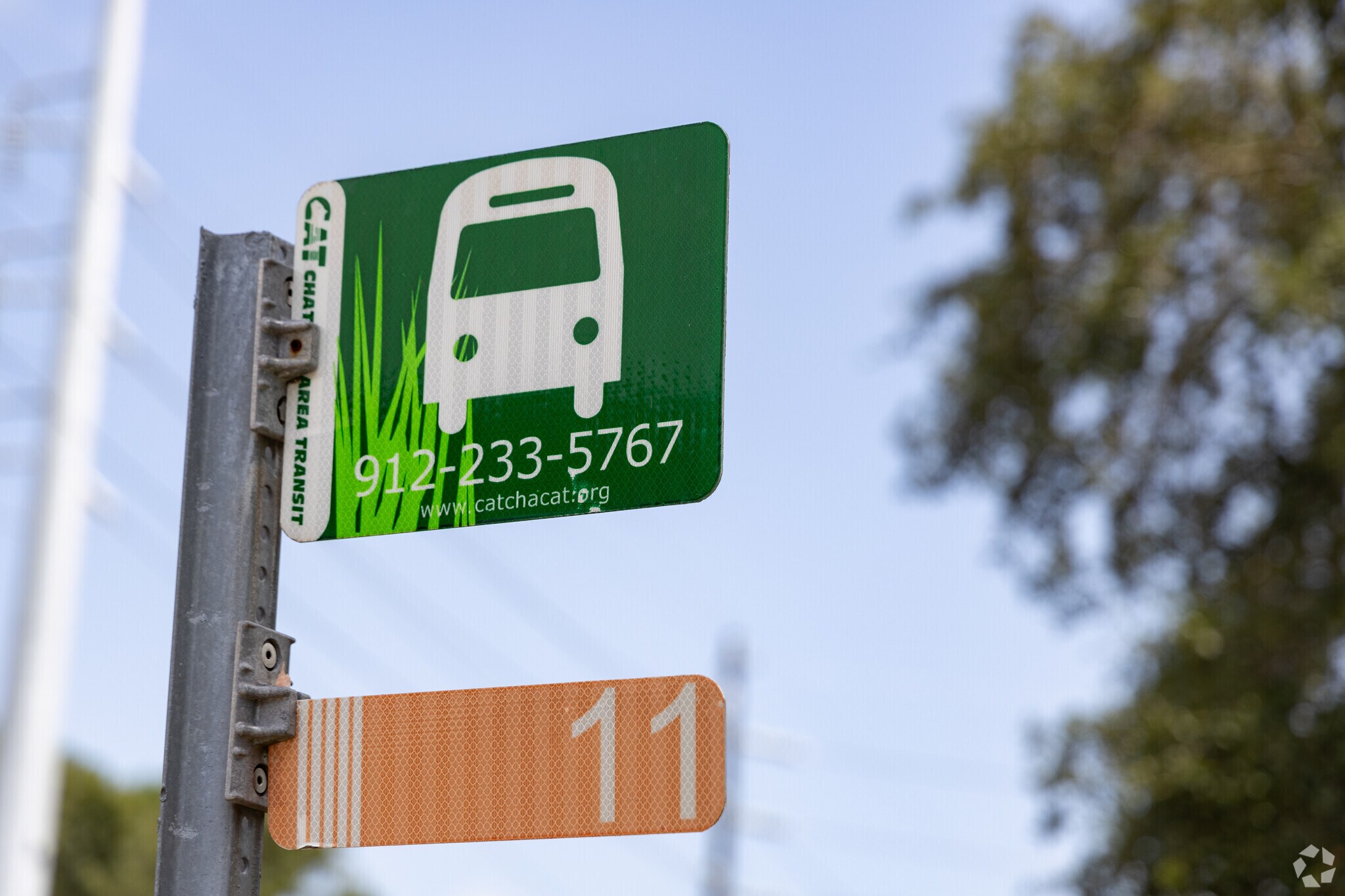 Magnolia Park-Blueberry Hill residents are served by Chatham Area Transit Authority.