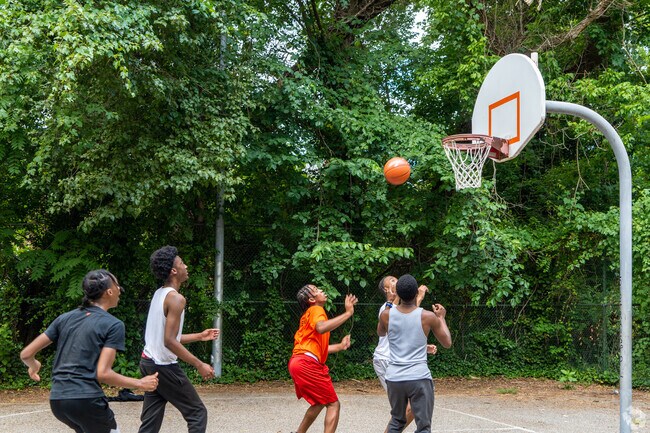 Lively games of baseball are common at Evesham Park near Rosebank.