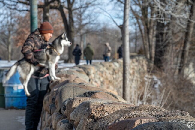 Even dogs enjoy the view at Minnehaha Regional Park.