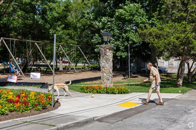 Take your dog out for a walk in Fountain City Park.