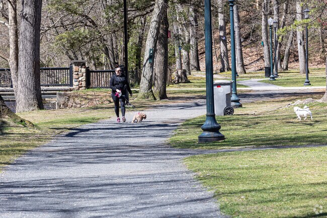 Federal Hill dogs have a wide selection of places to explore.