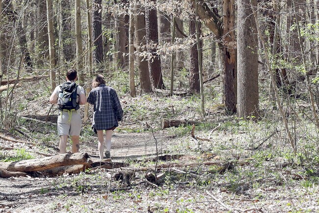 Fort Harrison State is known for its activities including hiking, biking near Devington.