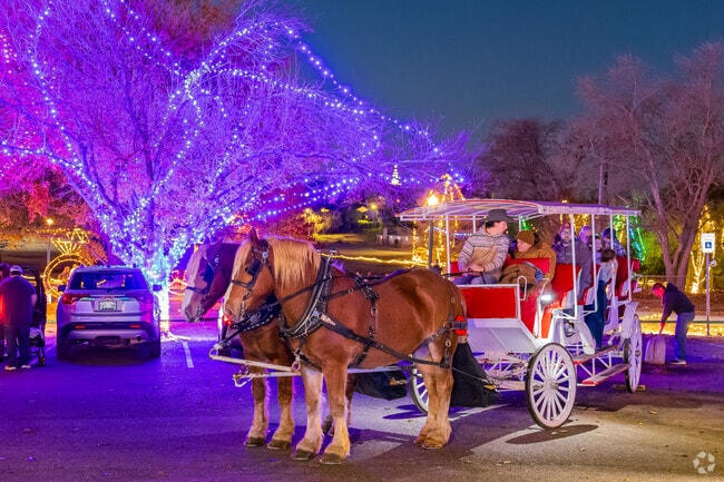 The carriage rides at Chickasha Festival of Light attract many participants.