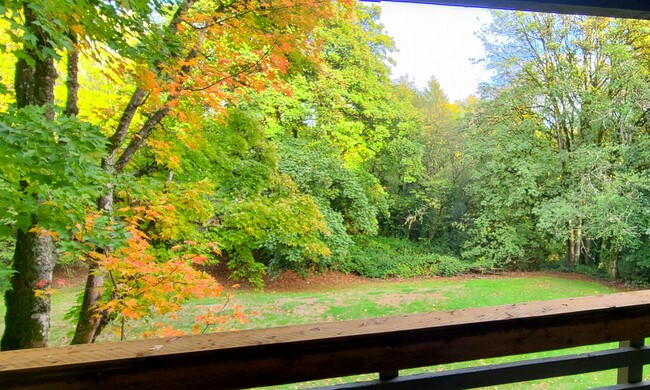 Balcony view
