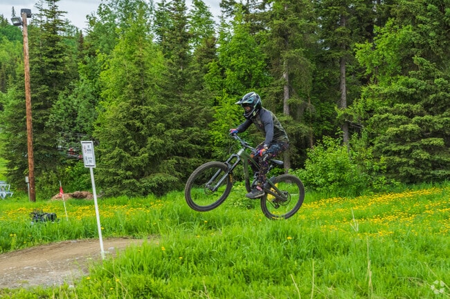Enjoy the thrill of downhill mountain biking in the nearby Chugach Mounatins.