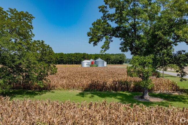 Stokes is located in the rural outskirts of the Greenville, NC area.
