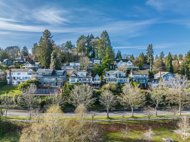 Variety of lakefront homes