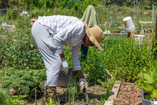 Bellona-Gittings residents can practice their green thumb at the Dewees City Farm.