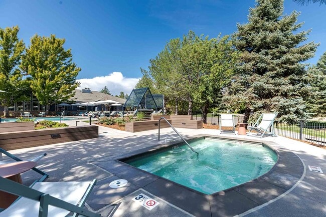 Palomino Park Resort, Highlands Ranch, CO 80130 - photo 3