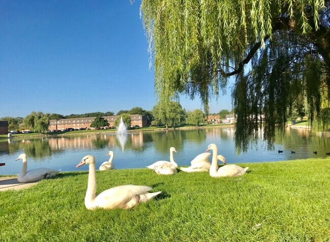 9468 Bay Colony Dr unit 3N, Des Plaines, IL 60016 - photo 6