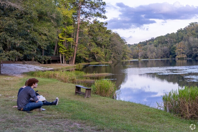 Poinsett Park offers many spots to relax and take in nature near Wedgefield.