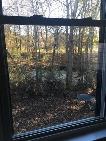 188 Colburn St unit 188, Dedham, MA 02026 - photo 7