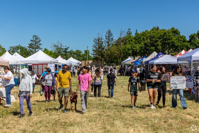 Berryessa Art Festival is the longest running art festival in Penitencia.