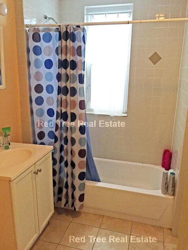 9 Buckingham St unit 1, Hyde Park, MA 02136 - photo 6