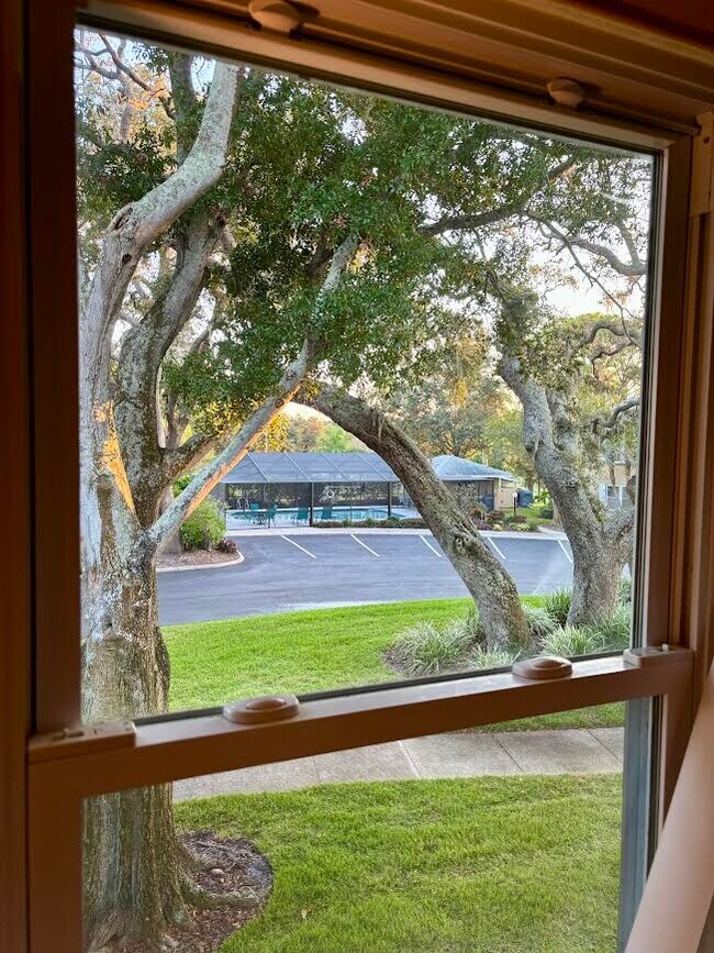 2193 Masters Ct unit 2 bedroom 2 full bat, Dunedin, FL 34698 - photo 4