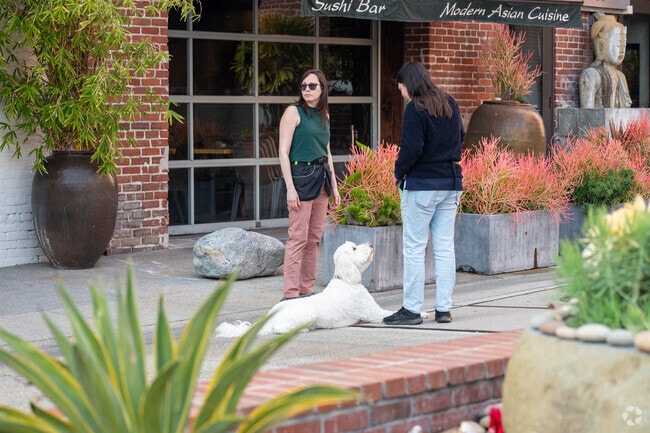Streets of Old Town Pasadena are pet friendly.