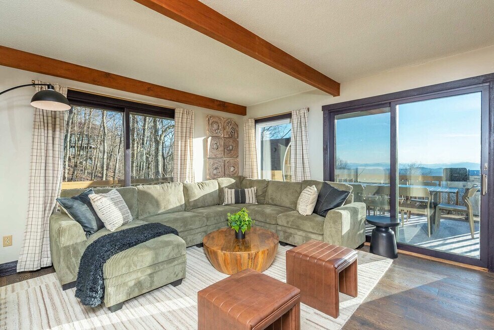 637 Granny Lewis Ln unit ID1250945P, Mars Hill, NC 28754 - photo 1