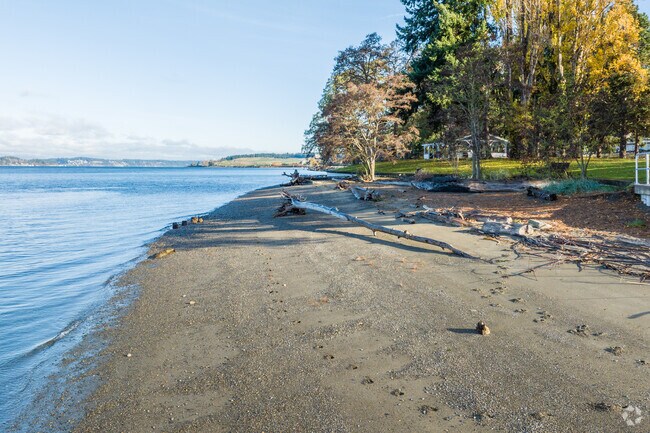 Many residents enjoy having a beach day at Sunnyside Beach Park in Steilacoom.