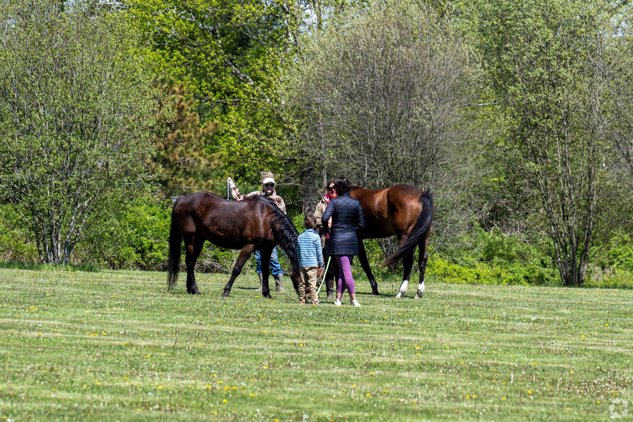 Equestrian opportunities at Demery Memorial Park in Middletown are greatly prized.