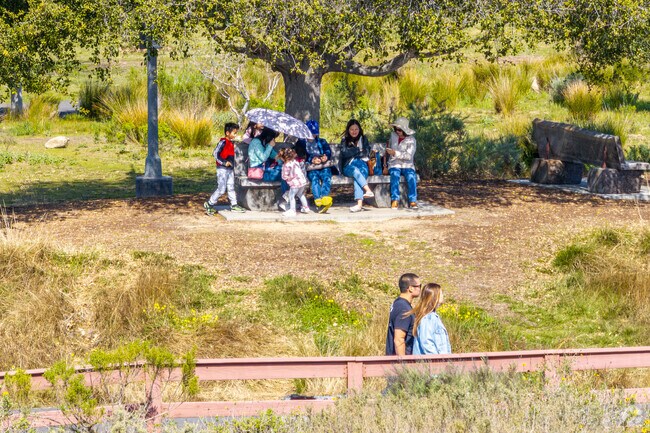 Castaways Park has a large tree at its peak for sitting back under the shade while enjoy amazing scenery.