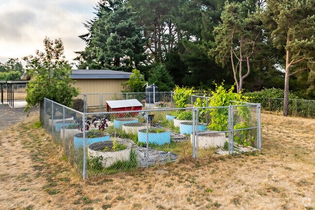 Students can help take care of the garden at Zane Middle School.