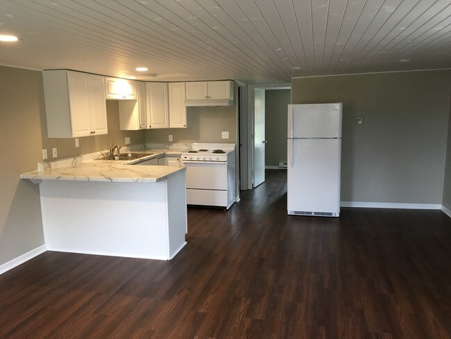 223 N West St unit 4, Dakota, IL 61018 - photo 3