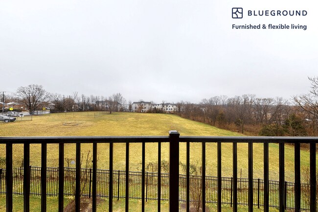 2425 Blueridge Ave unit FL4-ID8752A, Silver Spring, MD 20902 - photo 4