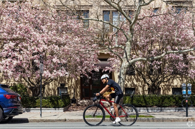 Residents enjoy biking along the blossoming streets of Brookline.