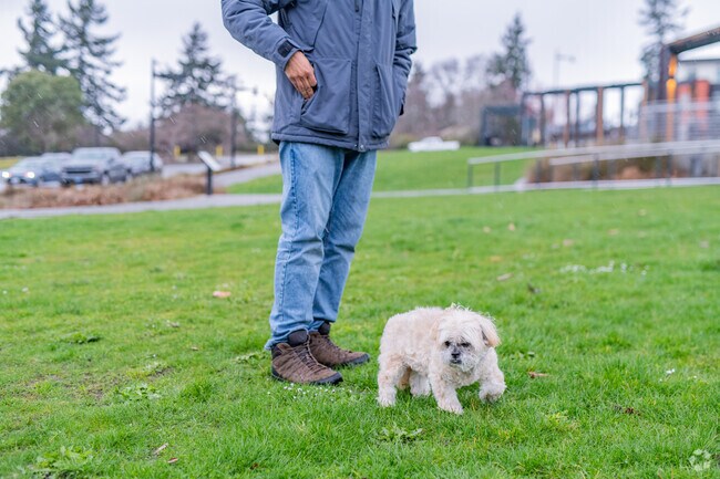 Take your pup for a day outside at Sunset Neighborhood Park in West Renton Highlands.