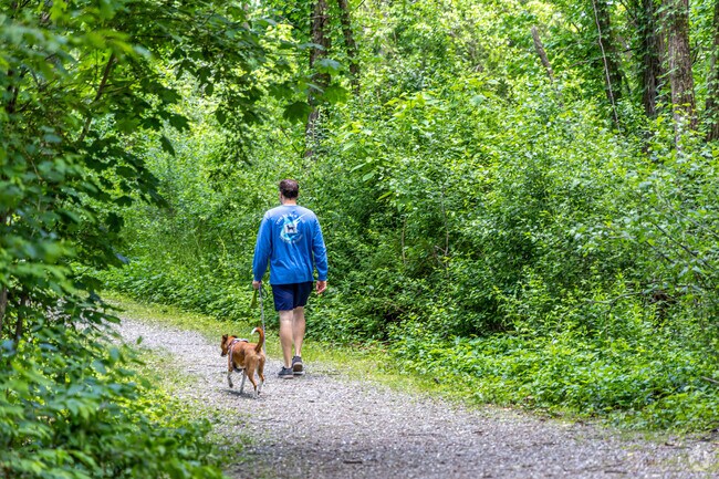 Enjoy a walk with your pet through the Hennessey Field trails in Norwood Centre.
