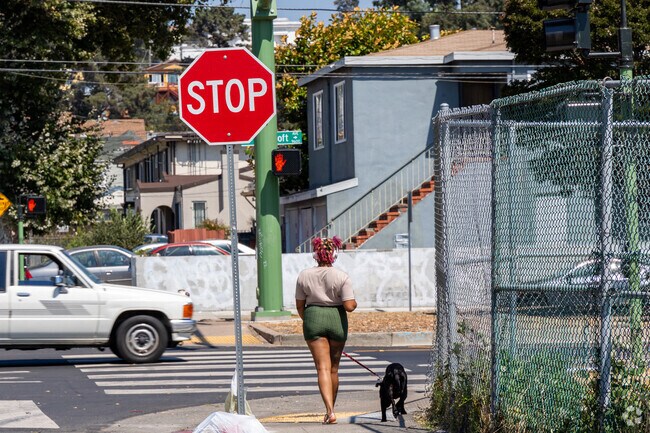 You will often find dog owners strolling along Castlemont Street with their furry friends.