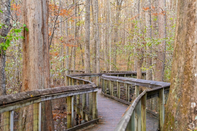 Lorance Creek Natural Area provides quiet forest walks near Landmark.