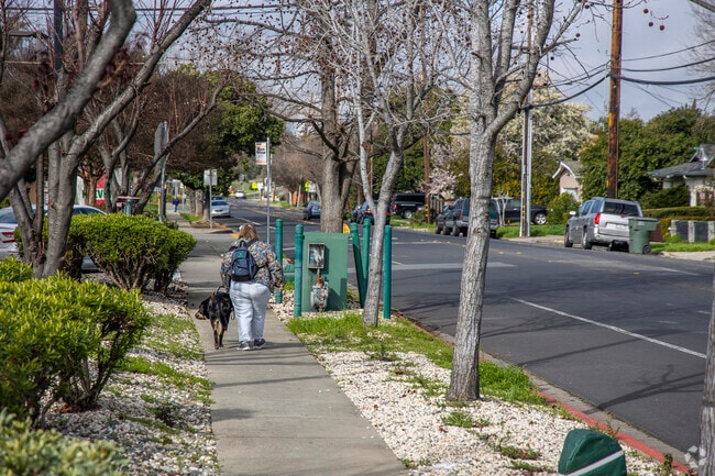 Glenbrook Heights is very dog-friendly.