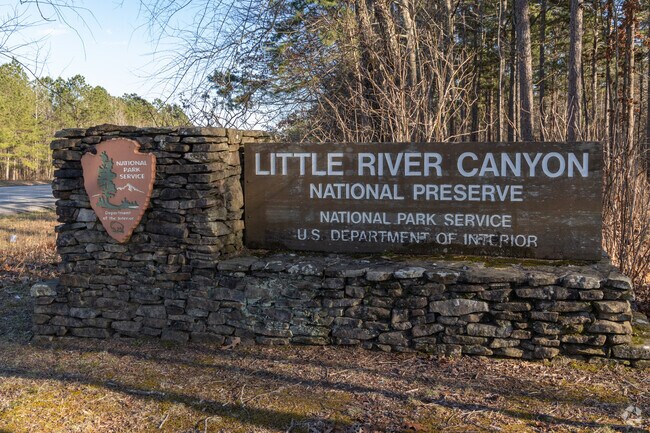 There are is a scenic drive around the top of the canyon at The Little River Canyon National Preserve in Ft Payne Alabama.