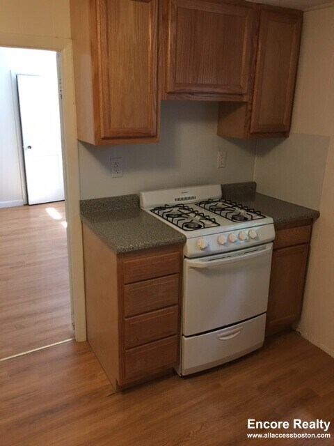 119 Sutherland Rd, Brighton, MA 02135 - photo 2