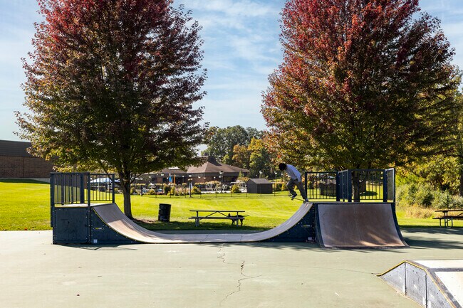 Skaters drop into the Round Lake skatepark near Remington Trails for ramps and rails.