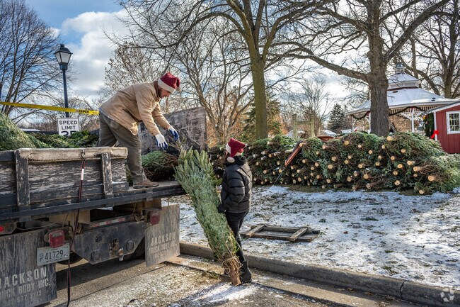 Holiday workers unloading Christmas trees at Gazebo Park in Greendale.