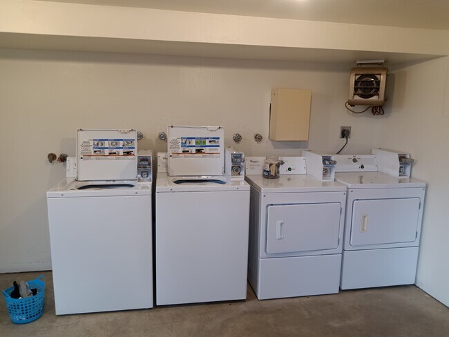 710 NE Oak St, Pullman, WA 99163 - photo 7