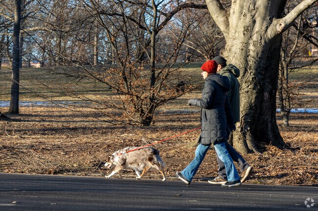 Take a break, breathe in the fresh air, and enjoy a relaxing walk with your dog through Cadwalader Park.