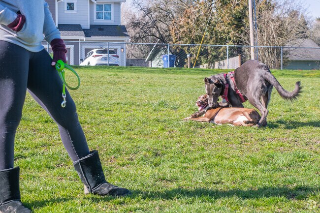 Bring your dog to meet new friends at Foster Memorial Park near Foster Heights.