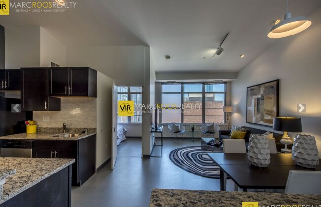 160 E Berkeley St unit 519, Boston, MA 02118 - photo 7