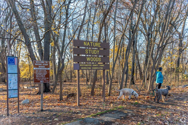 Trails in Nature Study Woods hug the Hutchinson River and are popular with dog walkers.