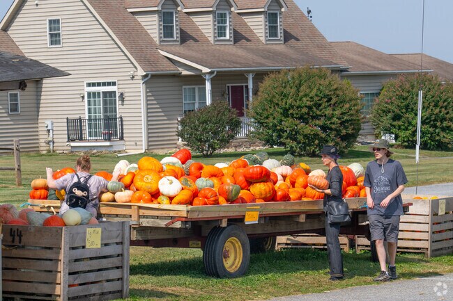 Seasonal farm stands offer more than just fruit and vegetables in Paradise.