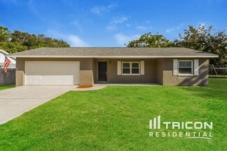 1106 Windsor Hill Way, Tarpon Springs, FL 34689