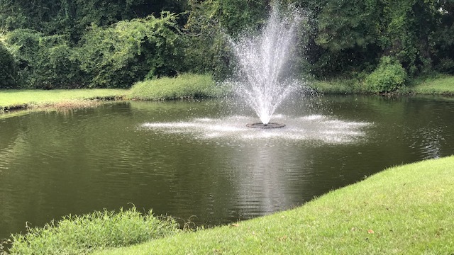 Pond