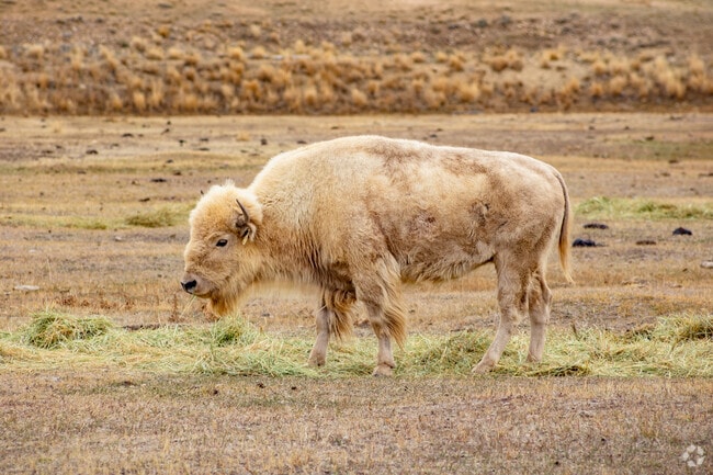 Nature is within reach for Evanston residents.