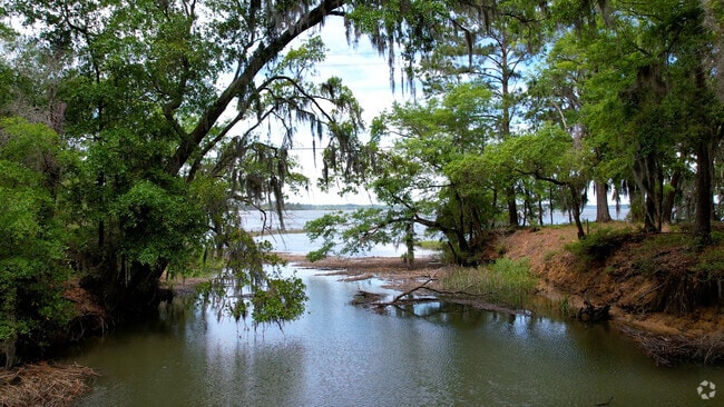 NH_Wadmalaw Island_522040_P2_001_MB_041124