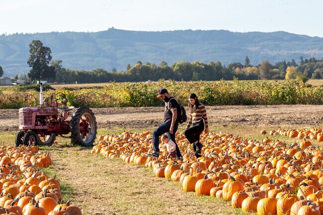 The pumpkin patch offers pick your own pumpkins.